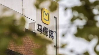 章澤天卸任劉強東關聯公司董事，團貸網案凍結資金31.1億元，ofo承諾負責到底 互聯網信息服務領域動態匯總